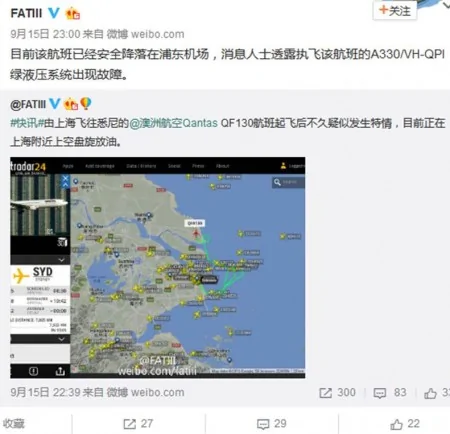 上海飞往澳大利亚悉尼的航班QF130深夜紧急折返。（网络截图）