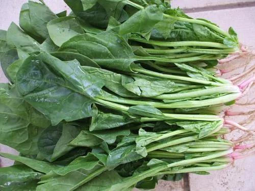 最能给肠道排毒的食物是什么?这才是正解!