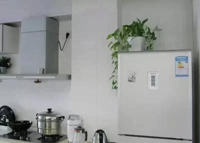一张图教会你冰箱食物如何存放 既省电又健康