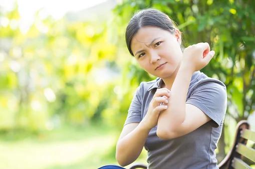 初秋肝火旺?养生有妙方!