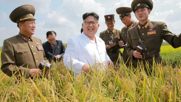 朝鲜领导人金正恩视察农田（朝中社2016年9月13日发放图片）