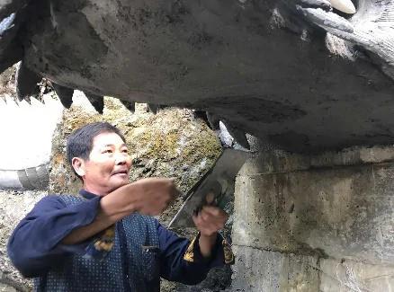 浙江大叔用10年把自家小院打造成“私家园林”