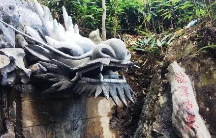 浙江大叔用10年把自家小院打造成“私家园林”