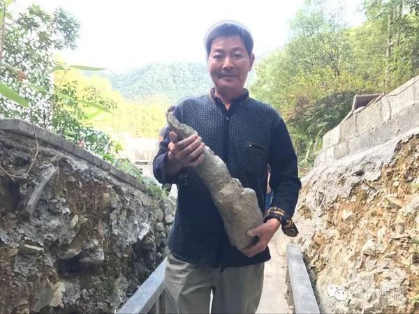 浙江大叔用10年把自家小院打造成“私家园林”