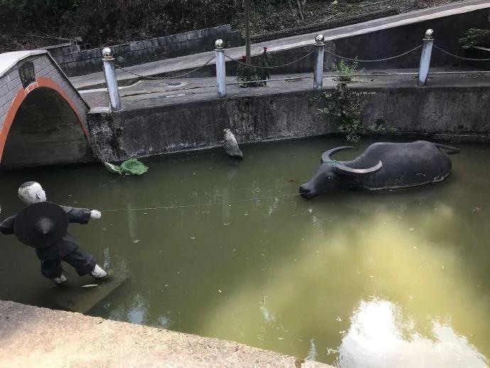 浙江大叔用10年把自家小院打造成“私家园林”