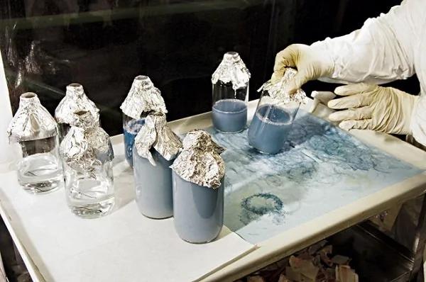日本:地球上最古老的生物集体死亡 真相令人悲痛!