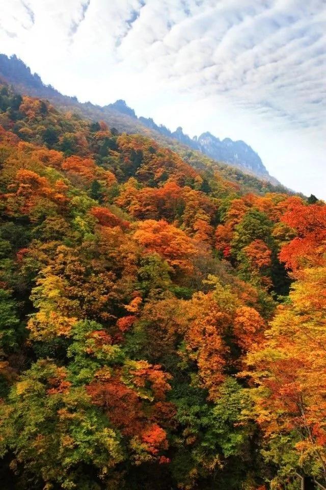最适合10月去的中国旅行地 不要去错地