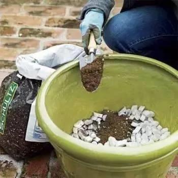 8种非常实用的养花小技巧