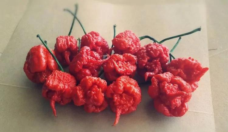 花4.99美元买了一包薯片 打开就一片 组图