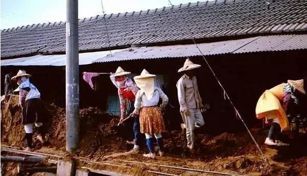 罕见台湾两蒋时代照片 经济腾飞欣欣向荣