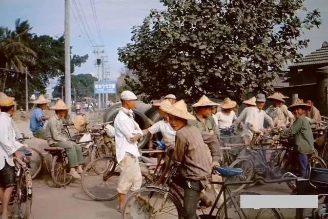 罕见台湾两蒋时代照片 经济腾飞欣欣向荣