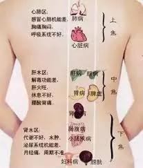 经络不通,病魔缠身!一分钟检查你的经络情况! 图