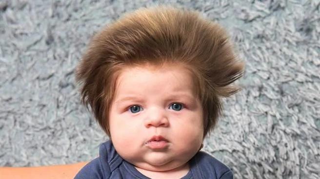 超可爱!小baby一夕爆红 只因发量太惊人