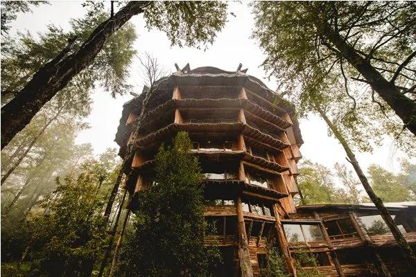 住了就不想离开 7座超梦幻树屋旅馆