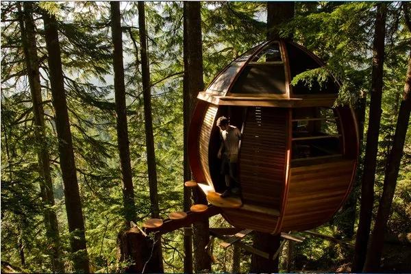 住了就不想离开 7座超梦幻树屋旅馆