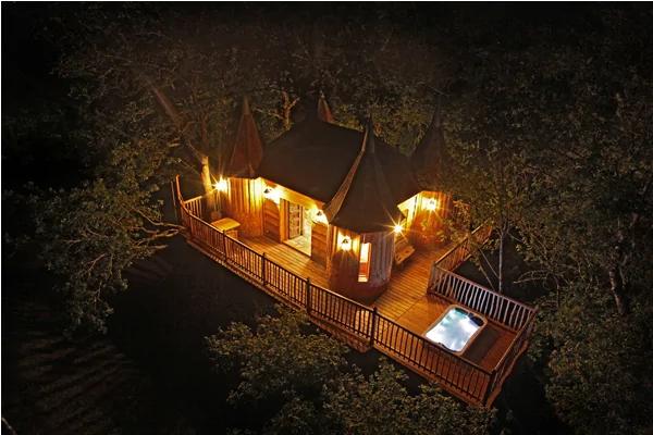 住了就不想离开 7座超梦幻树屋旅馆