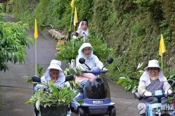 年收过亿 日本一村庄老人们的神奇故事 图集