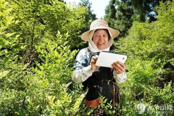 年收过亿 日本一村庄老人们的神奇故事 图集