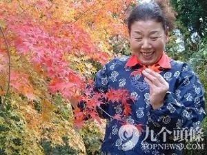 年收过亿 日本一村庄老人们的神奇故事 图集