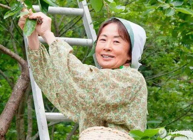 年收过亿 日本一村庄老人们的神奇故事 图集
