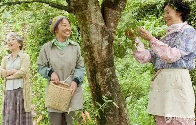 年收过亿 日本一村庄老人们的神奇故事 图集