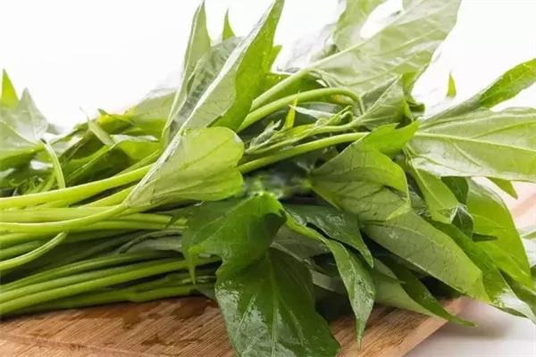 红薯叶的秘密 好吃而且健康 被誉为蔬菜皇后