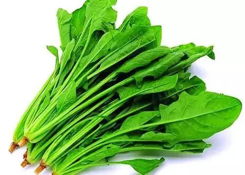 这9种蔬菜没煮熟千万别吃,有毒!