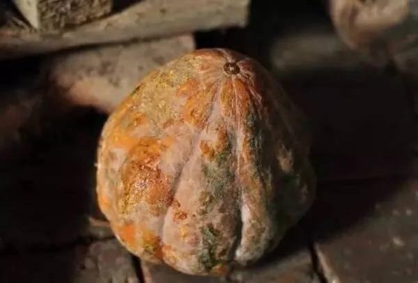 这9种蔬菜没煮熟千万别吃,有毒!