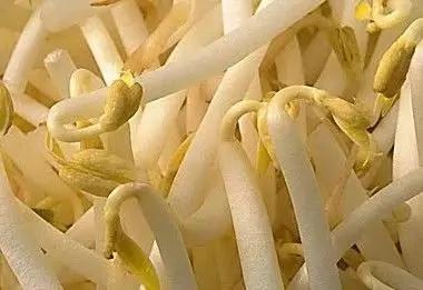 这9种蔬菜没煮熟千万别吃,有毒!