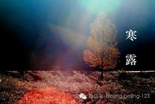 寒露时节 入冬前最可怕的季节到了!养生该变变了 图