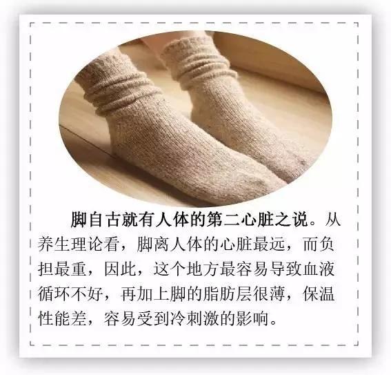 寒露时节 入冬前最可怕的季节到了!养生该变变了 图