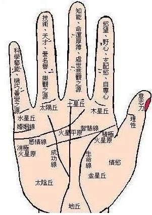 花钱是否大手大脚 手相透玄机!
