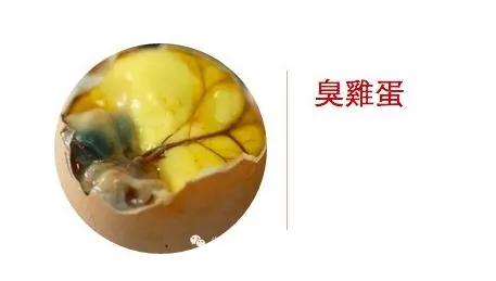 太可怕!6种鸡蛋要人命,你还敢吃吗