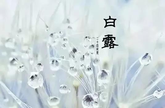 寒露到!这两件事一定要停止了,比吃任何东西都补!
