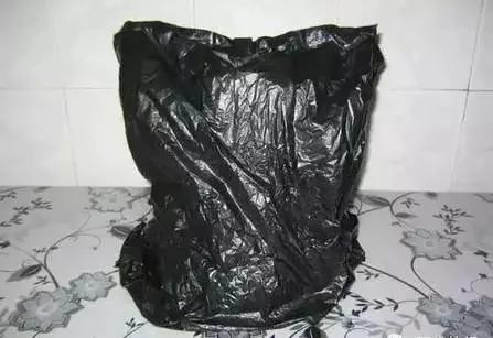 1个可乐瓶就能种出全家人吃的豆芽菜 关键还这么简单