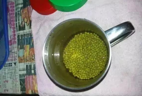 1个可乐瓶就能种出全家人吃的豆芽菜 关键还这么简单
