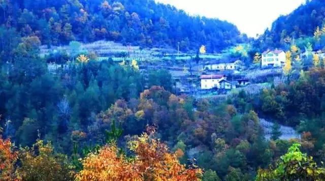 百丈悬崖上中国古村落 仅靠1条铁链上山 图集