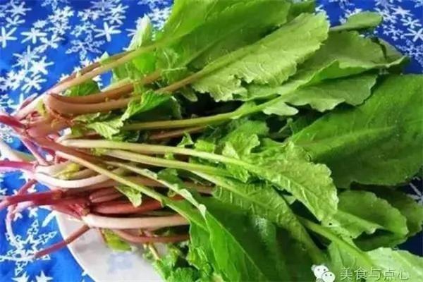 这菜农村人拿来喂猪 其营养极高 如今比猪肉还贵