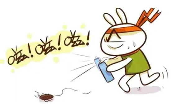 蟑螂怎么杀灭快捷又省力