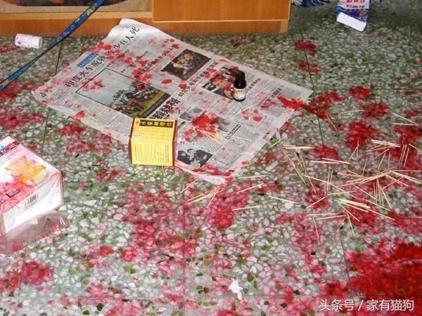 一开门竟发现二哈躺在“血泊之中”…… 图集