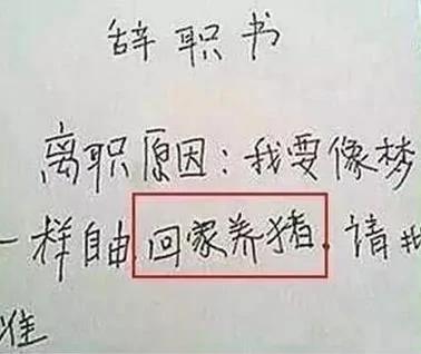 小学生请假条 绝对都是人才 实在忍不住要笑!图集
