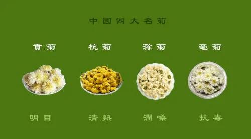 菊花茶的功效