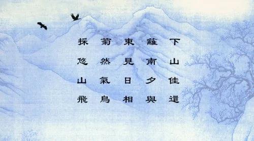 菊花茶的功效