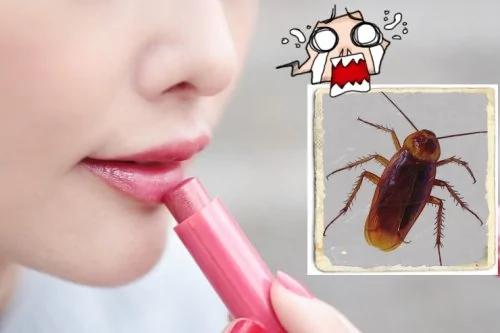 秋天小心!台女塗潤唇膏入睡 竟招来这个.. 图