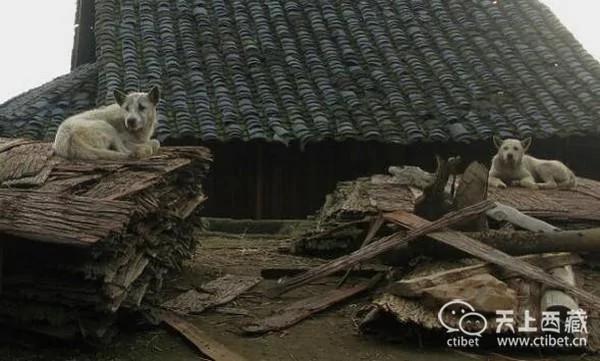 实拍中国最神秘的村子:家家都有持枪证 图集