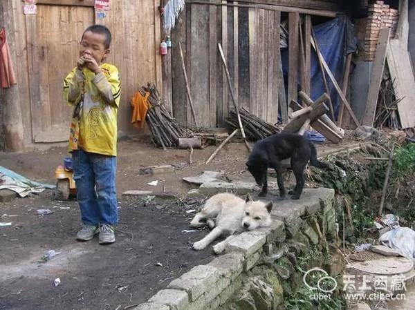 实拍中国最神秘的村子:家家都有持枪证 图集