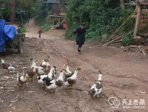 实拍中国最神秘的村子:家家都有持枪证 图集