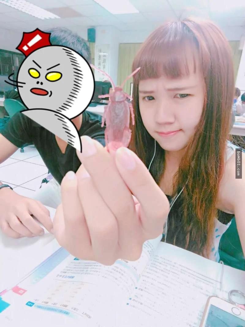 男生看不惯隔壁女同学在上课时睡觉 竟然找来"48只蟑螂"……