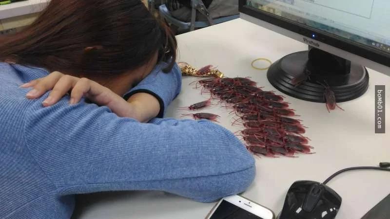 男生看不惯隔壁女同学在上课时睡觉 竟然找来"48只蟑螂"……