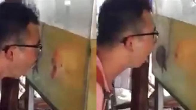 看过鱼生气吗?男子挑衅鱼的反应让人笑疯了……